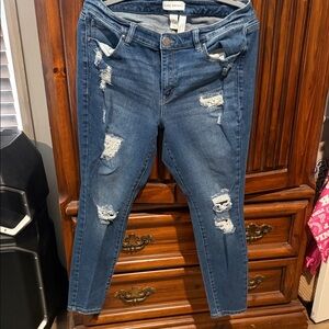 Lane Bryant Blue Distressed Jeans